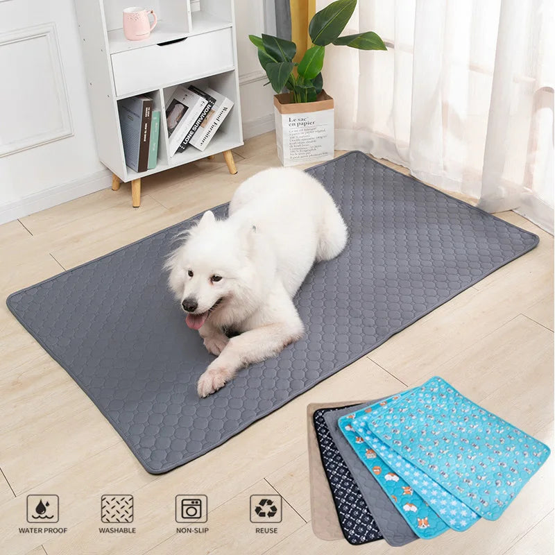 Dog Urine And Training Pad