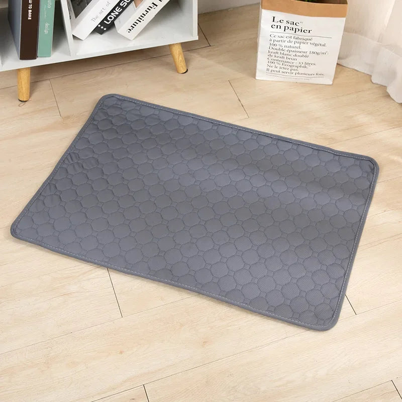 Dog Urine And Training Pad
