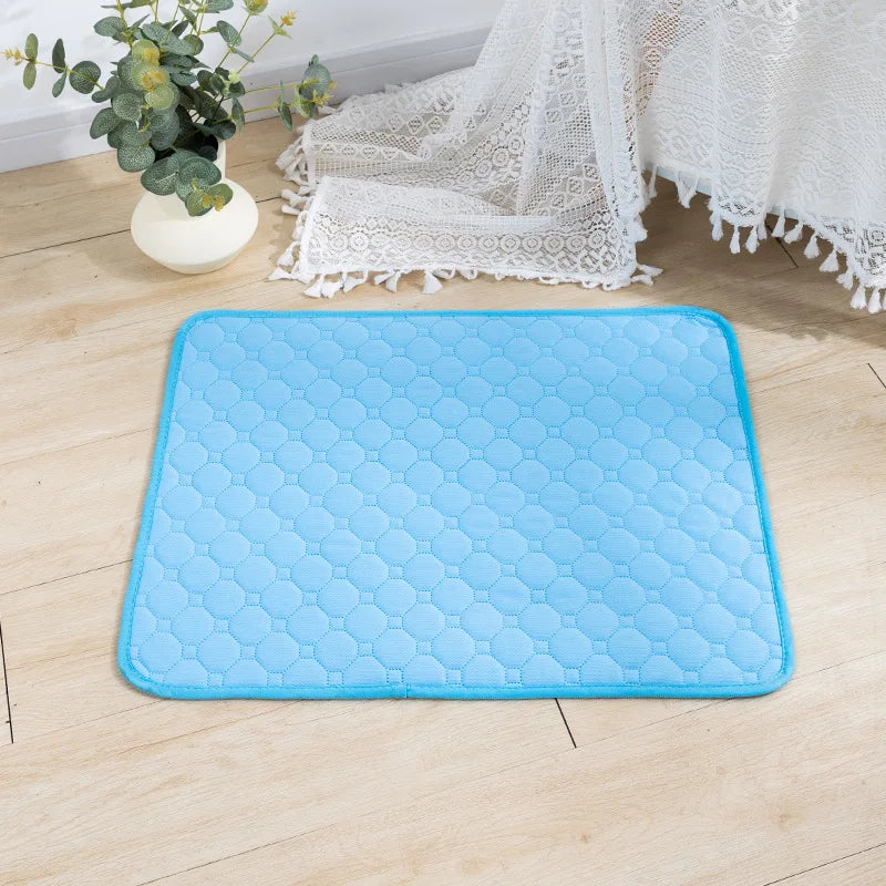 Dog Urine And Training Pad
