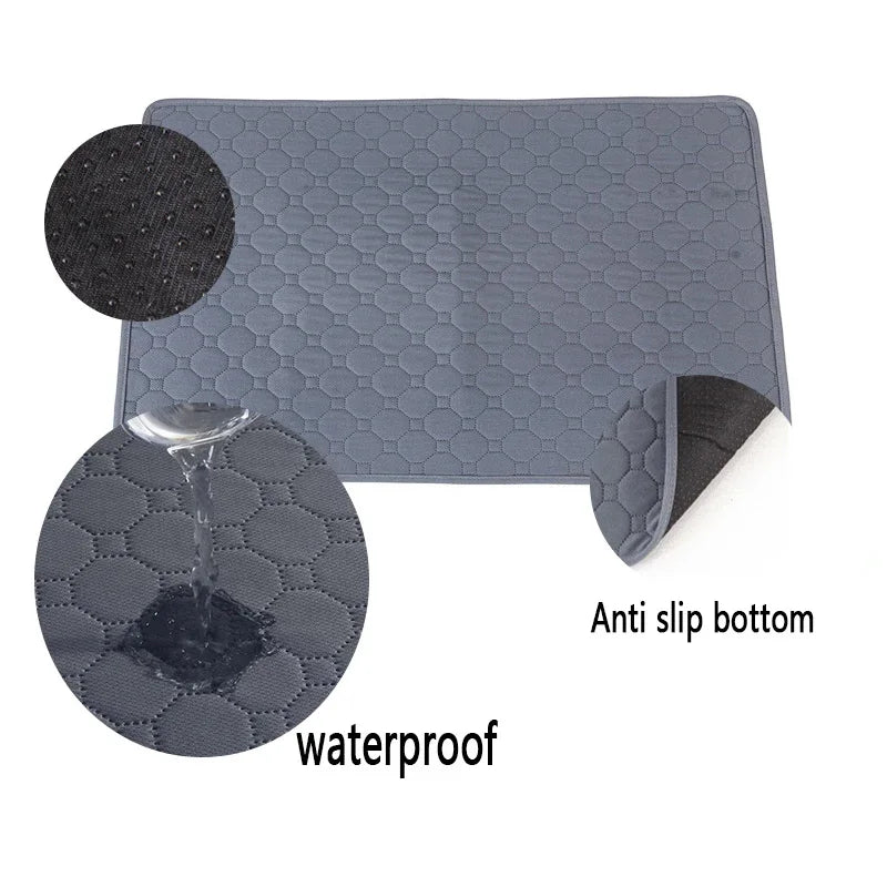 Dog Urine And Training Pad