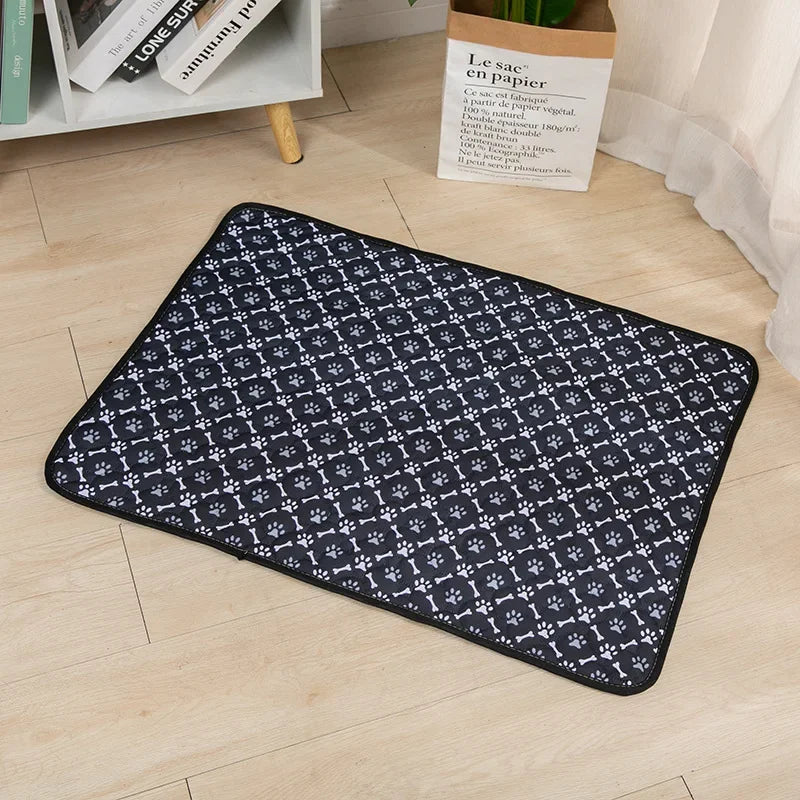 Dog Urine And Training Pad