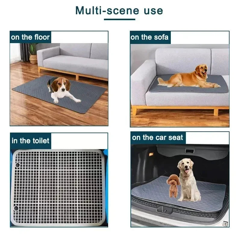 Dog Urine And Training Pad