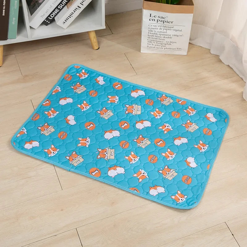 Dog Urine And Training Pad