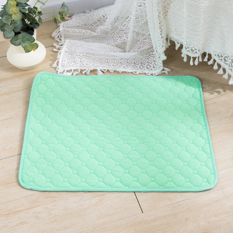 Dog Urine And Training Pad